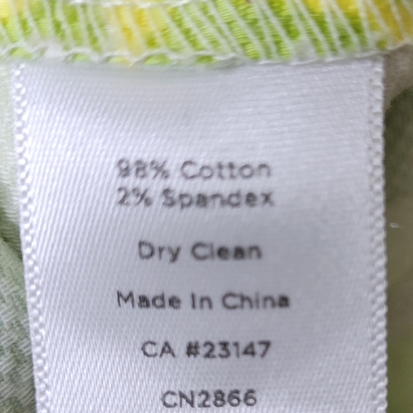 Talbots Petite All Over Lime Print Dress Stretch Twill Summer Vacation Size 10P - Picture 8 of 8